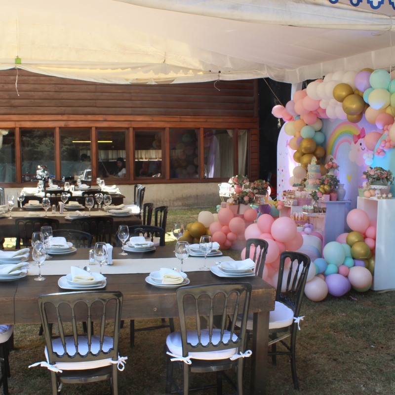 Fiestas con temática