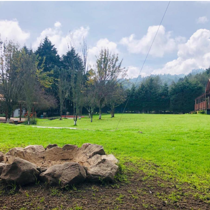 Amplias áreas verdes